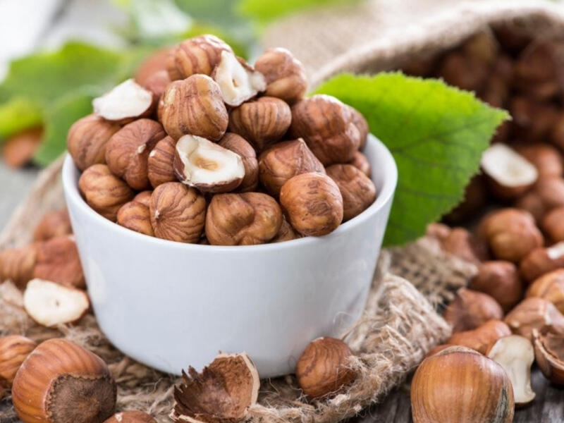 Фундук купить саженцы из питомника в Междуреченске