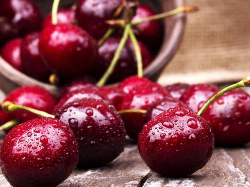 Вишня купить саженцы из питомника в Междуреченске